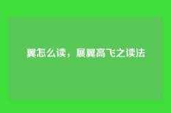 翼怎么读，展翼高飞之读法
