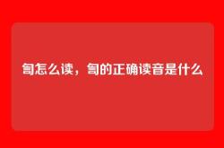 訇怎么读，訇的正确读音是什么