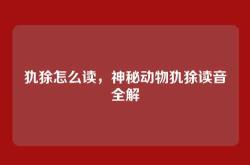 犰狳怎么读，神秘动物犰狳读音全解