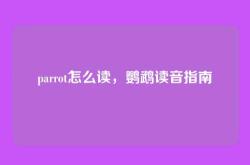 parrot怎么读，鹦鹉读音指南