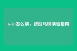 toilet怎么读，智能马桶读音指南