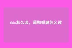 thin怎么读，薄如蝉翼怎么读