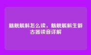 觞觥觚斛怎么读，觞觥觚斛生僻古器读音详解