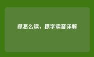 襟怎么读，襟字读音详解