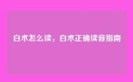 白术怎么读，白术正确读音指南