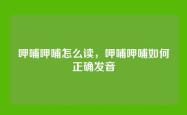 呷哺呷哺怎么读，呷哺呷哺如何正确发音