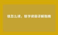 毯怎么读，毯字读音详解指南