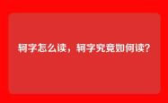 轲字怎么读，轲字究竟如何读？