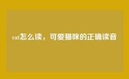 cat怎么读，可爱猫咪的正确读音