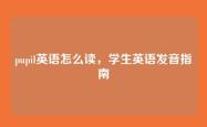 pupil英语怎么读，学生英语发音指南