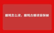 雎鸠怎么读，雎鸠古雅读音探秘