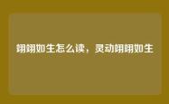 翊翊如生怎么读，灵动翊翊如生