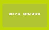 鹊怎么读，鹊的正确读音
