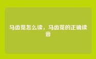 马齿苋怎么读，马齿苋的正确读音