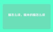 糯怎么读，糯米的糯怎么读