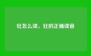 钍怎么读，钍的正确读音