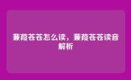 蒹葭苍苍怎么读，蒹葭苍苍读音解析