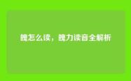 魄怎么读，魄力读音全解析