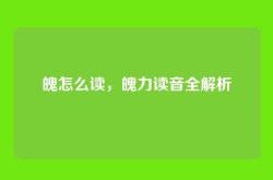 魄怎么读，魄力读音全解析