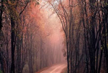 12月27日是什么星座