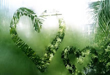 12月22日是什么星座