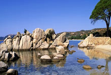 4月15日是什么星座