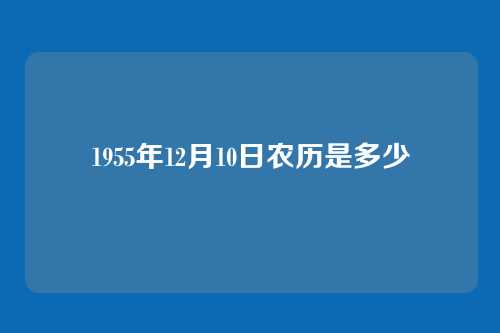 1955年12月10日农历是多少