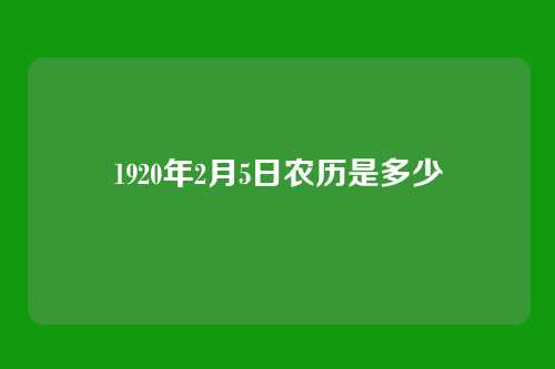 1920年2月5日农历是多少
