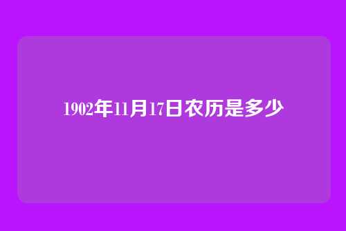 1902年11月17日农历是多少