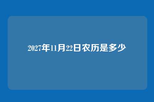 2027年11月22日农历是多少