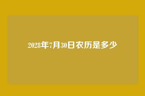 2028年7月30日农历是多少