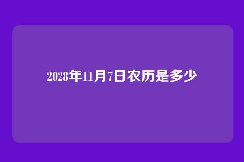 2028年11月7日农历是多少