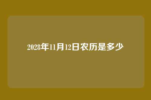 2028年11月12日农历是多少