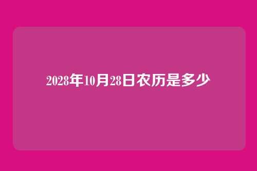 2028年10月28日农历是多少