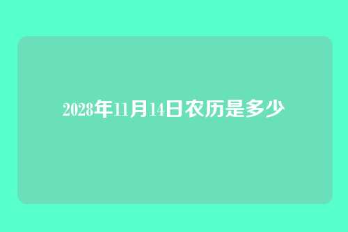 2028年11月14日农历是多少