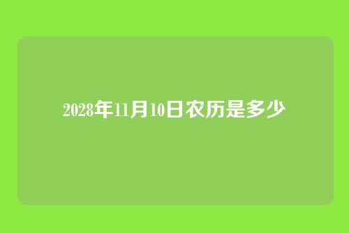 2028年11月10日农历是多少