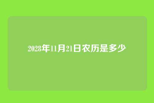 2028年11月21日农历是多少