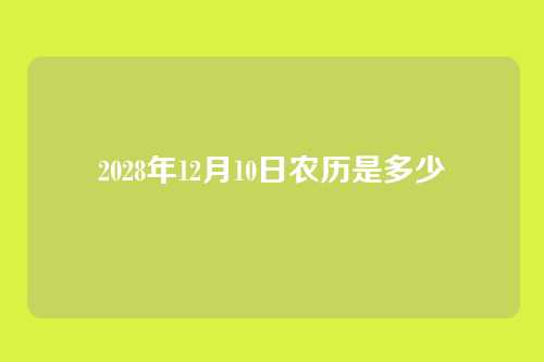2028年12月10日农历是多少