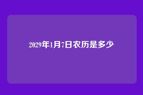2029年1月7日农历是多少