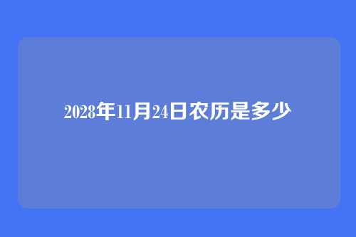 2028年11月24日农历是多少