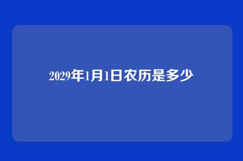 2029年1月1日农历是多少