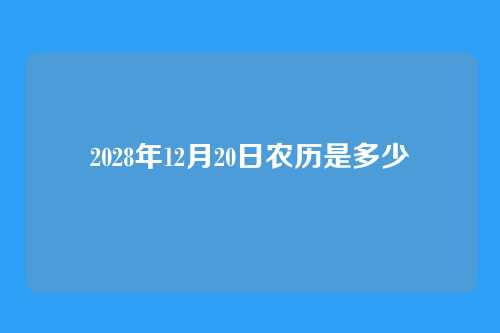 2028年12月20日农历是多少