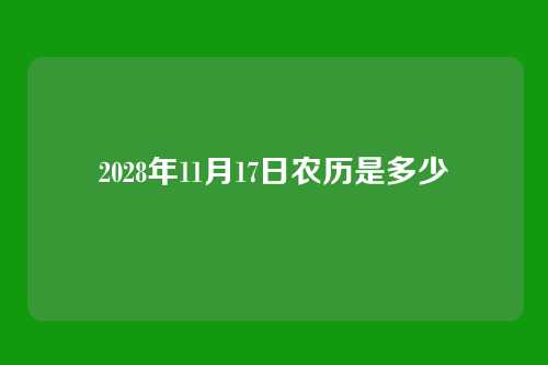 2028年11月17日农历是多少