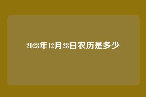 2028年12月28日农历是多少
