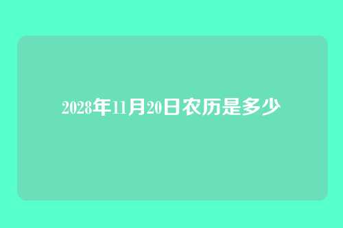 2028年11月20日农历是多少
