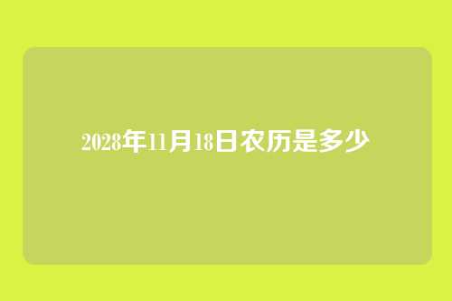 2028年11月18日农历是多少