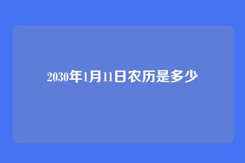 2030年1月11日农历是多少