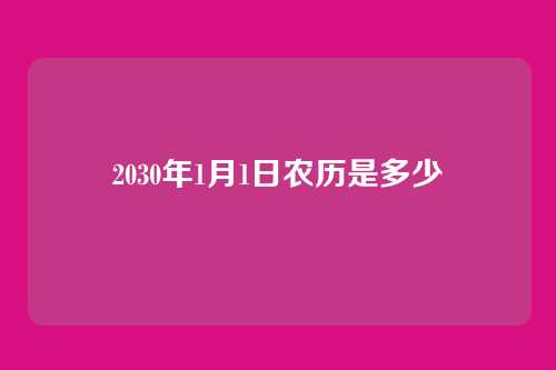 2030年1月1日农历是多少