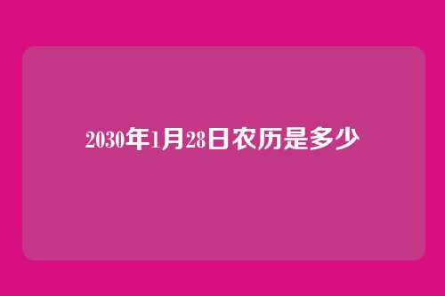 2030年1月28日农历是多少
