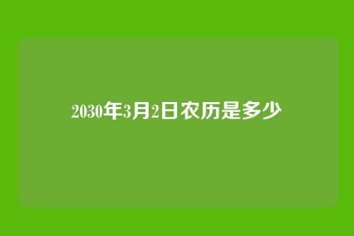 2030年3月2日农历是多少